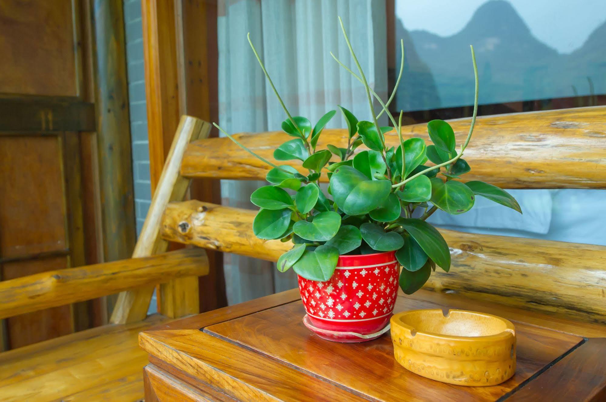 מלון Yangshuo Scenic Mountain Retreat מראה חיצוני תמונה